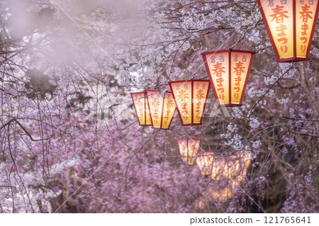 Cherry blossoms at night at Utsubuki Park Cherry blossoms at night at Utsubuki Park 121765641
