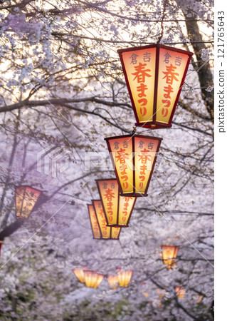 夜間櫻花盛開的打椿公園 121765643