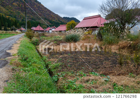 Japanese silver grass in mountain villages 121766298