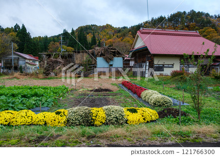 廢棄的房子和花園 廢棄的房子和花園 121766300