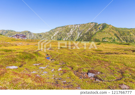 秋天的立山黑部阿爾卑斯山路線～紅葉的天狗平 121766777