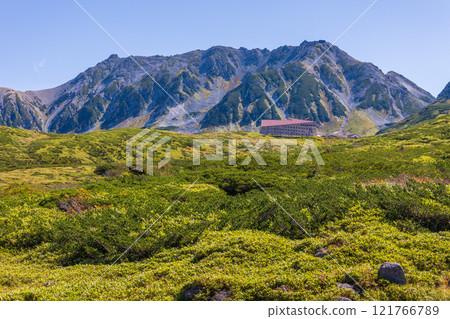 秋天的立山黑部阿爾卑斯山路線～紅葉的天狗平 121766789