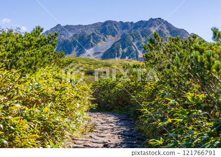 秋天的立山黑部阿爾卑斯山路線～紅葉的天狗平 121766791