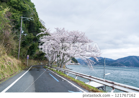 櫻花、道路和琵琶湖的風景 櫻花、道路和琵琶湖的風景 121767162