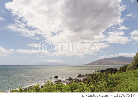 從山上看到的夏威夷海灘 從山上看到的夏威夷海灘 121767517