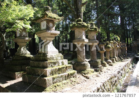 奈良春日大社寧靜的森林風光 奈良春日大社寧靜的森林風光 121767857