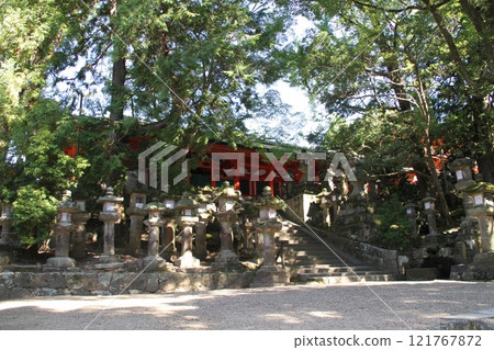 The tranquil forest scenery of Kasuga Taisha Shrine in Nara 121767872