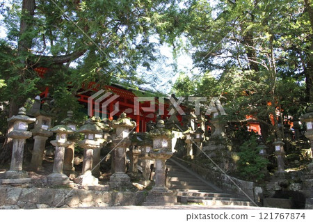 奈良春日大社寧靜的森林風光 121767874