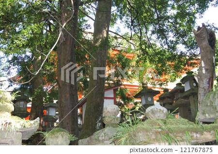 奈良春日大社寧靜的森林風光 奈良春日大社寧靜的森林風光 121767875