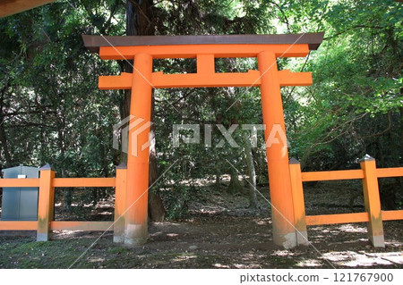 奈良春日大社寧靜的森林風光 121767900