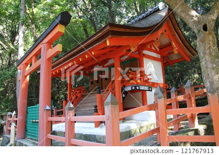 奈良春日大社寧靜的森林風光 121767913