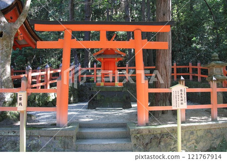 The tranquil forest scenery of Kasuga Taisha Shrine in Nara 121767914