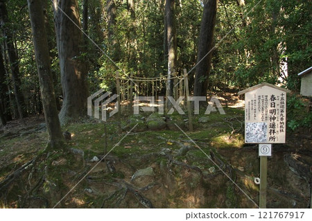 奈良春日大社寧靜的森林風光 奈良春日大社寧靜的森林風光 121767917