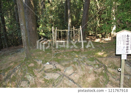 奈良春日大社寧靜的森林風光 121767918