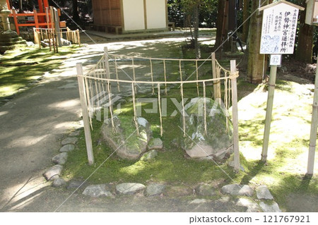 奈良春日大社寧靜的森林風光 121767921