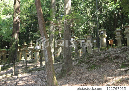 奈良春日大社寧靜的森林風光 奈良春日大社寧靜的森林風光 121767935