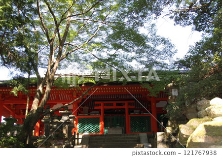 The tranquil forest scenery of Kasuga Taisha Shrine in Nara The tranquil forest scenery of Kasuga Taisha Shrine in Nara 121767938