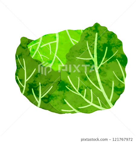 水彩春白菜 121767972