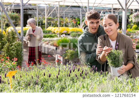 Happy married couple choosing flower pot with lavender flowers at flower market Happy married couple choosing flower pot with lavender flowers at flower market 121768154