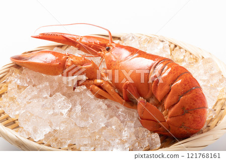 [Canadian] Boiled lobster 121768161