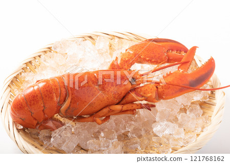 [Canadian] Boiled lobster 121768162