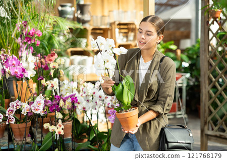 Young woman lovingly selects a flower pot with orchid flowers in flower shop 121768179