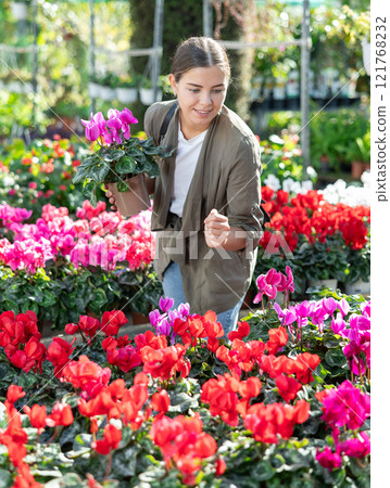 Young woman choosing cyclamen in flower shop Young woman choosing cyclamen in flower shop 121768232