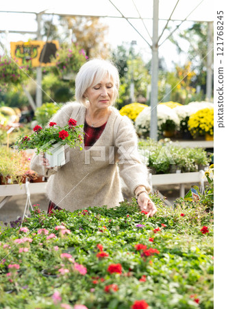 Portrait of happy girl chooses an flower red verbena in flower shop 121768245