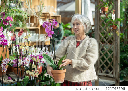 Elderly woman chooses orchids in flower shop 121768296