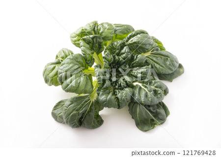 [Miyagi Prefecture] Tatsoi 121769428