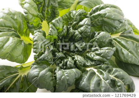 [Miyagi Prefecture] Tatsoi 121769429