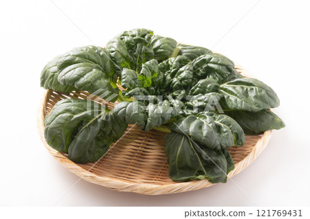 [Miyagi Prefecture] Tatsoi 121769431