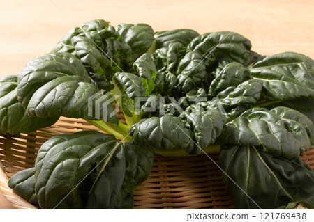 [Miyagi Prefecture] Tatsoi 121769438