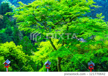 鞍馬寺的燈籠和新鮮的綠色植物 121770642