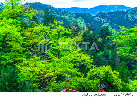 鞍馬寺的燈籠和新鮮的綠色植物 121770643