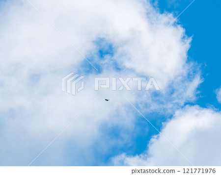 1月27日 藍天白雲 121771976