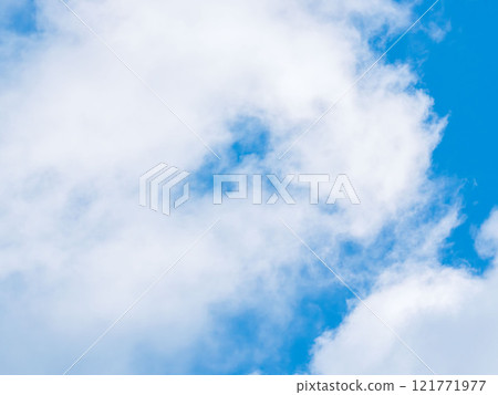 1月29日 藍天白雲 121771977