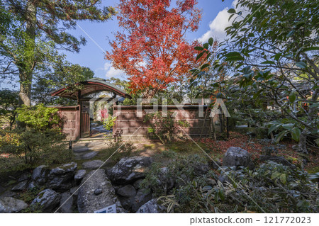 Isuien Garden (Nara City) Looking towards Seishuan from Teishuuken 121772023