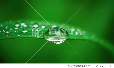 Close-up of fresh water droplet on green leaf, natural beauty concept, eco-friendly background, nature design, purity and freshness, organic products, skincare, herbal cosmetics, spa themes, wellness 121772225