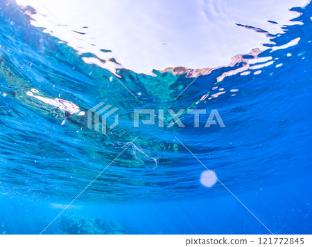 水面上漂浮著神祕的水母。 在西方，它被稱為維納斯腰帶。加茂區南伊豆町中木広濱 121772845