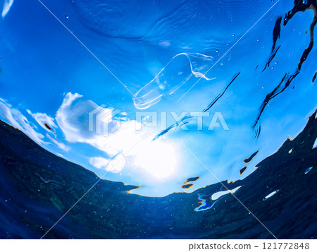 水面上漂浮著神祕的水母。 在西方，它被稱為維納斯腰帶。加茂區南伊豆町中木広濱 121772848