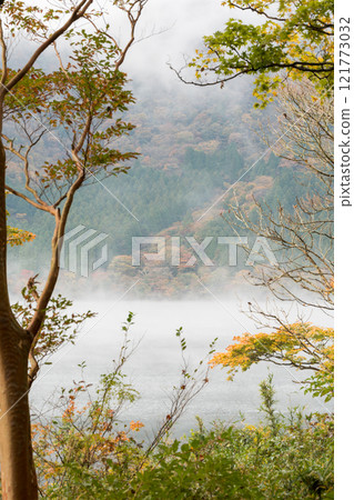 箱根蘆之湖的秋葉 箱根蘆之湖的秋葉 121773032