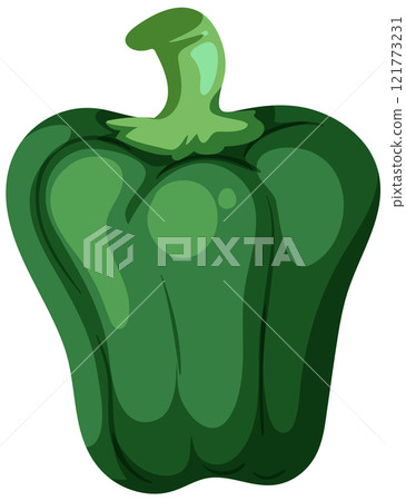 Green Bell Pepper Vector Illustration 121773231