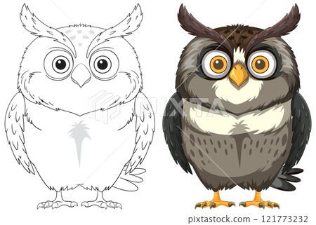 Owl Illustration with Outline and Color Owl Illustration with Outline and Color 121773232