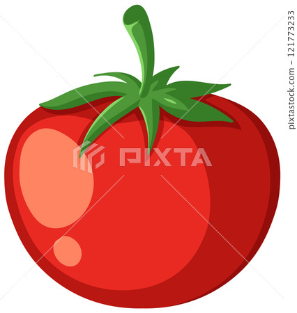 Vibrant Red Tomato Illustration 121773233