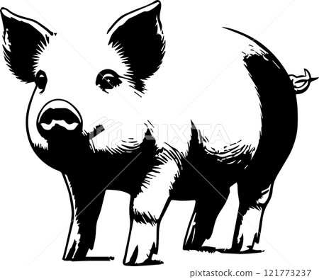 小豬的單色插圖 121773237