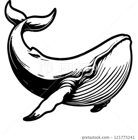 鯨魚的單色插圖 121773241