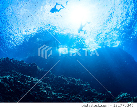 Skin divers observing a giant frogfish. Nakagi Hirizo Beach, Minamiizu-cho, Kamo-gun, Izu Peninsula, Shizuoka Prefecture 121773345