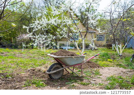 A garden wheelbarrow filled with soil and manure for spring fertilizing stands under a blooming tree in a green garden. A rural house is visible in the background A garden wheelbarrow filled with soil and manure for spring fertilizing stands under a blooming tree in a green garden. A rural house is visible in the background 121773557