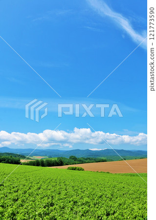 Hokkaido summer blue sky and Biei landscape Hokkaido summer blue sky and Biei landscape 121773590